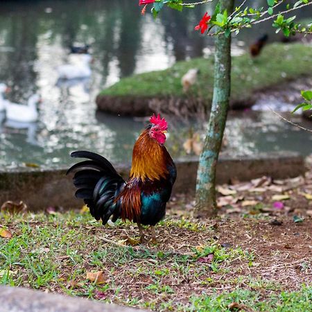 Polo Hotel Fazenda Індаятуба Екстер'єр фото